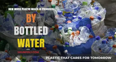 The Shocking Environmental Impact of Bottled Water's Plastic Waste