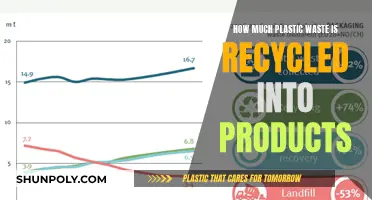 The Plastic Promise: Recycled Products and Their Impact