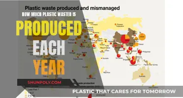 The Shocking Amount of Annual Plastic Waste