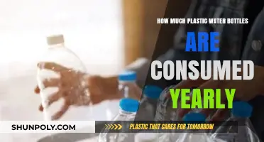 Annual Plastic Water Bottle Consumption: Shocking Global Usage Statistics Revealed