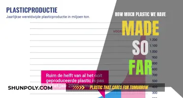 The World's Plastic Problem: A Global Crisis