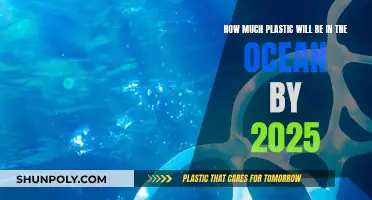 The Ocean's Plastic Crisis: 2025 and Beyond