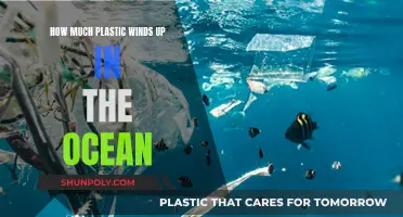 The Ocean's Plastic Problem: An Ominous Warning