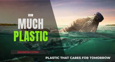 The Plastic Problem: How Much is Too Much?