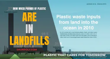 Plastic Pollution Crisis: Pounds of Plastic in Landfills