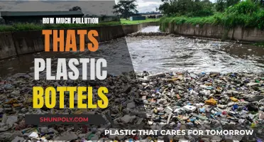Plastic Bottles: A Growing Environmental Concern and Crisis