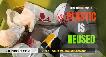 Exploring the Fate of Recycled Plastics: Reuse and Beyond