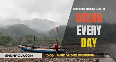 The Ocean's Daily Rubbish Crisis: An Environmental Catastrophe