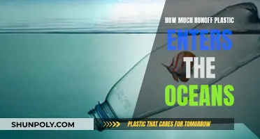 The Ocean's Plastic Runoff Problem: Quantifying the Damage