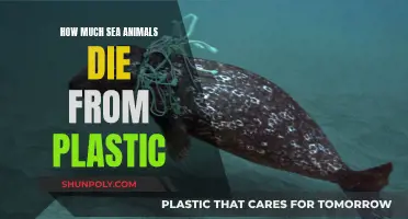 The Ocean's Plastic Crisis: Killing Marine Life