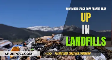 Plastic's Landfill Footprint: How Much Space Does it Occupy?