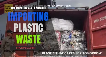 China's Plastic Waste Import: Who Pays the Price?