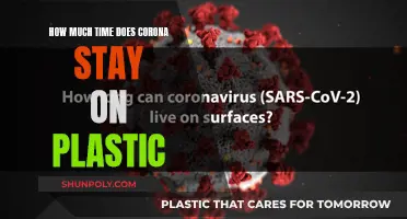 The Lifespan of Corona on Plastic Surfaces