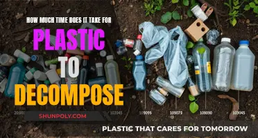 The Dark Truth: Plastic Decomposition and Its Timeline