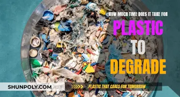 Plastic Degradation: Understanding the Time It Takes to Decompose