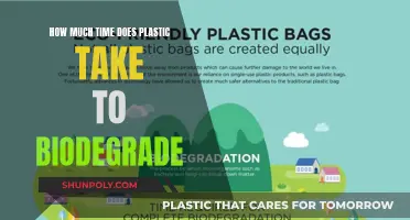 Plastic's Long Goodbye: Biodegradation Timeline Explored