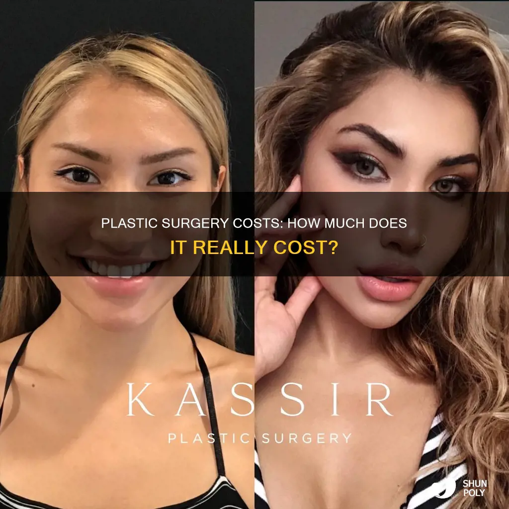 how much to plastic surgeon cost