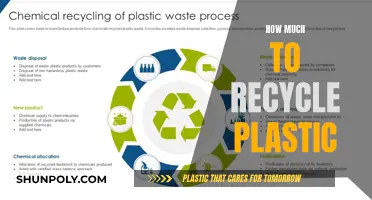 Recycling Plastic: The Cost of a Green Future