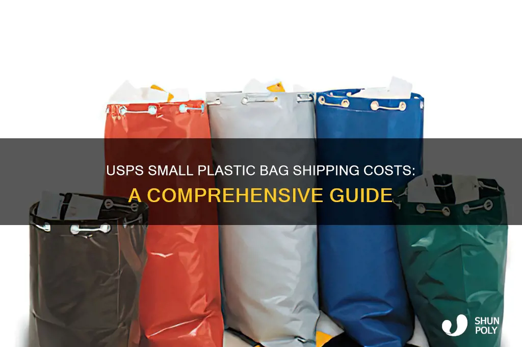 how much to send a small plastic bag usps