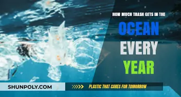 Alarming Ocean Trash: Annual Waste Influx and Its Devastating Impact