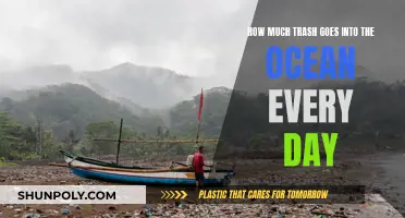 The Ocean's Daily Trash Intake: A Global Crisis