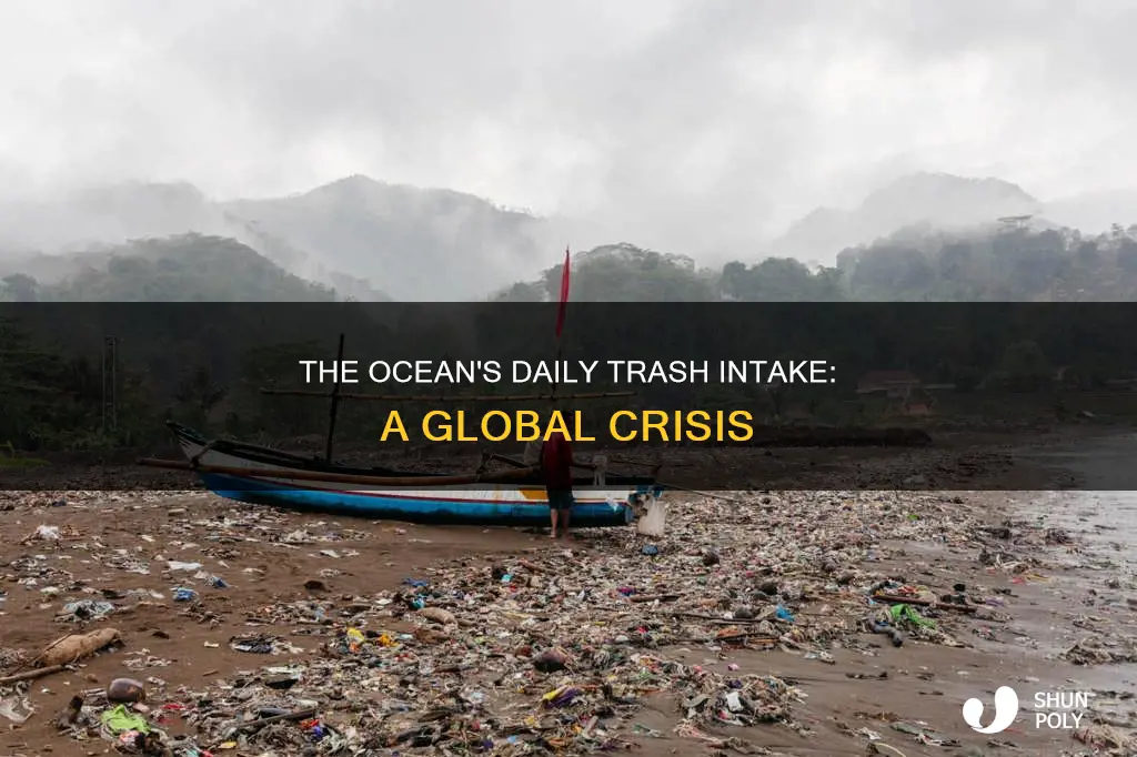 how much trash goes into the ocean every day