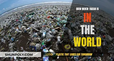 The World's Trash Crisis: A Global Concern