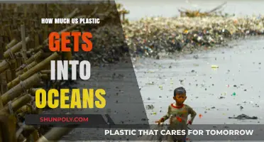 How Much US Plastic Ends Up in Our Oceans?
