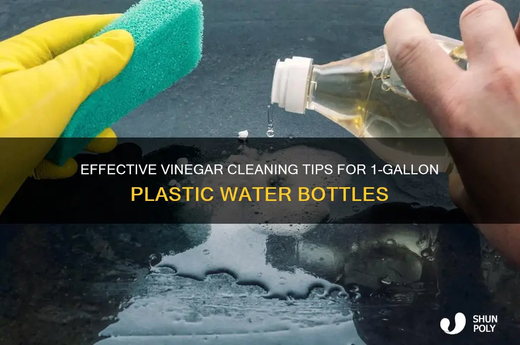 how much vinegar to clean 1 gallon plastic water bottle