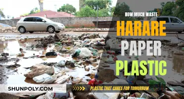 Harare's Plastic and Paper Waste: A Troubling Issue