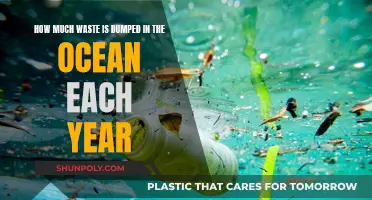 Ocean Pollution: Annual Waste Dumping Statistics