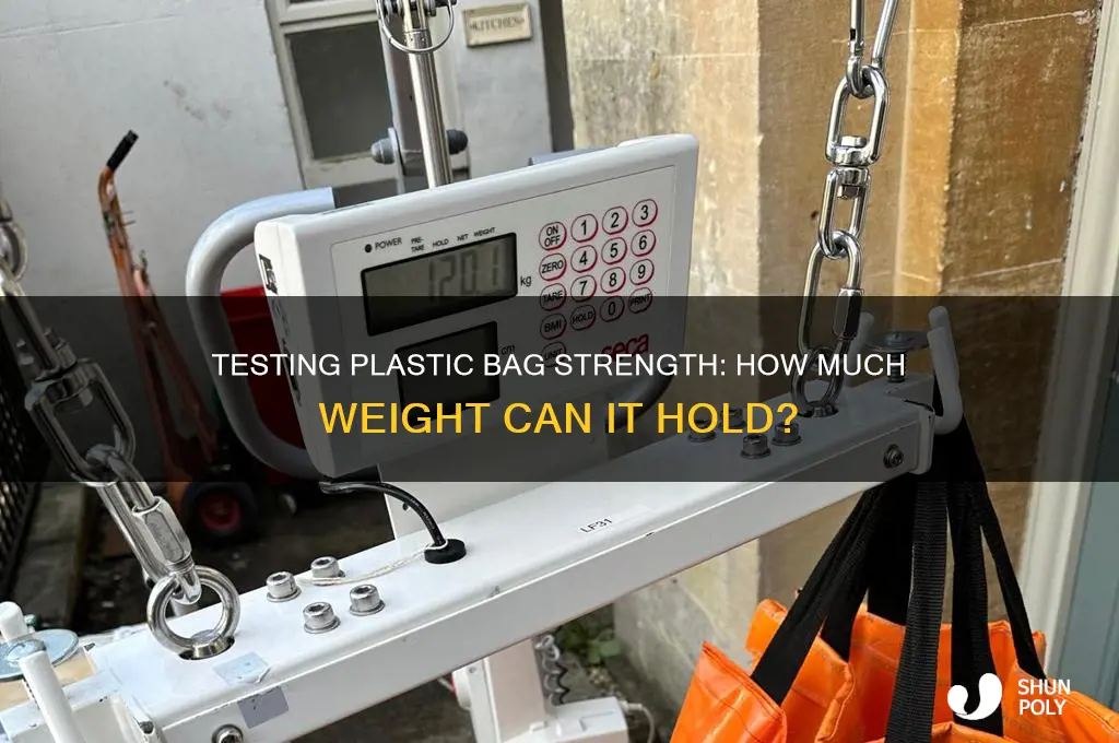 how much weight can a plastic bag hold experiment