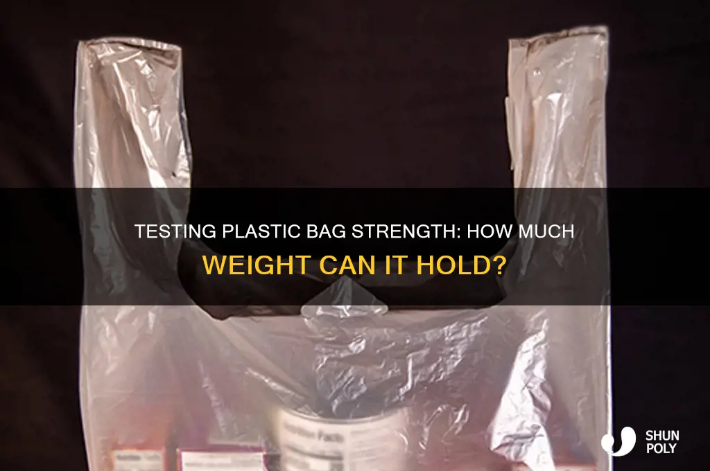 how much weight can a plastic bag hold