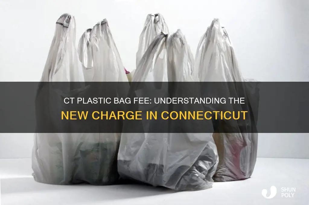 how much will be charged for plastic bags in ct