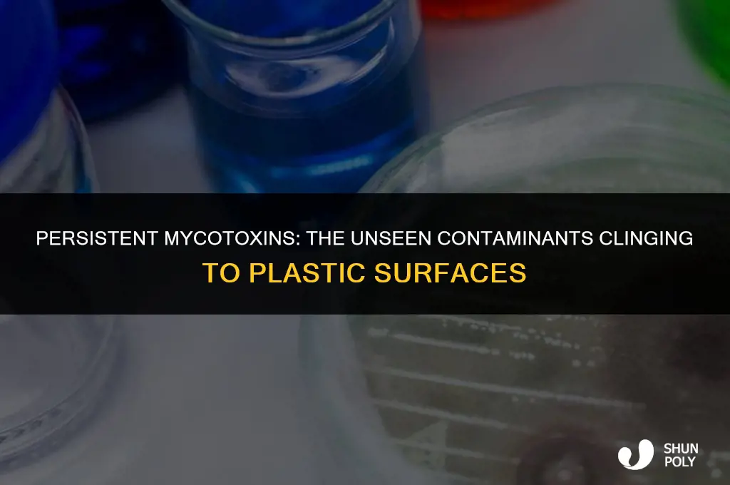 how mycotoxins stick to plastic