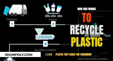 Unveiling the Recycling Process: How NGOs Transform Plastic Waste