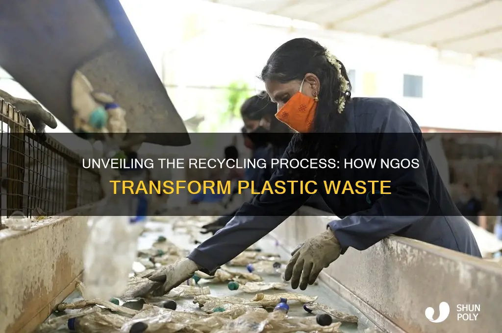 how ngo works to recycle plastic