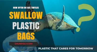 Sea Turtles and Plastic Bags: A Deadly Mistake in the Ocean