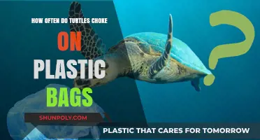 Turtles and Plastic Bags: Understanding Choking Risks in Marine Life