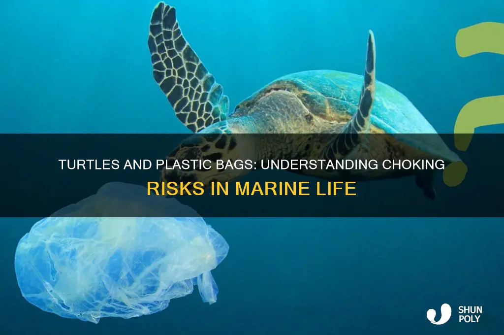 how often do turtles choke on plastic bags