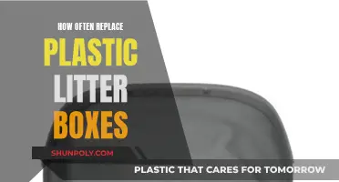 When to Swap Out Your Cat's Plastic Litter Box