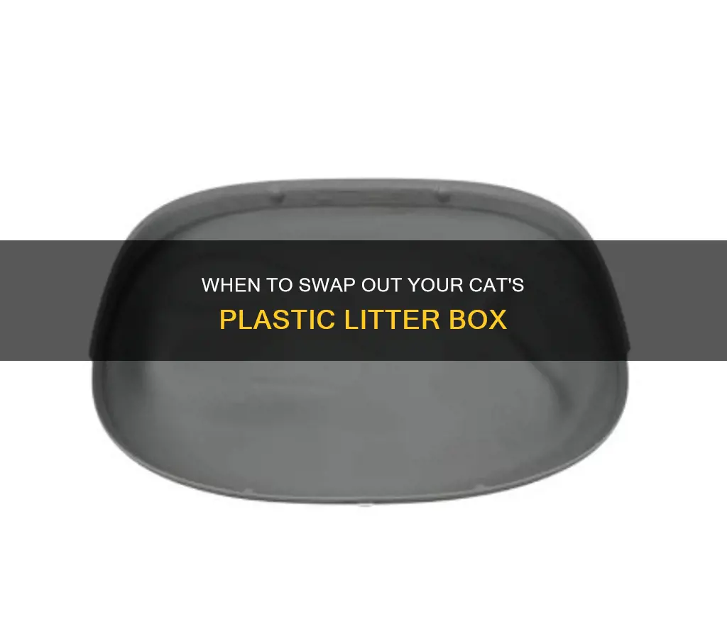 how often replace plastic litter boxes