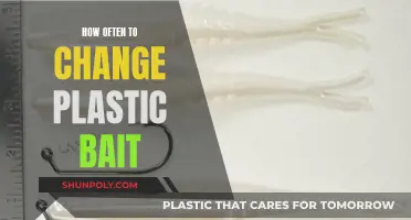 Changing Plastic Baits: When and Why You Should Switch