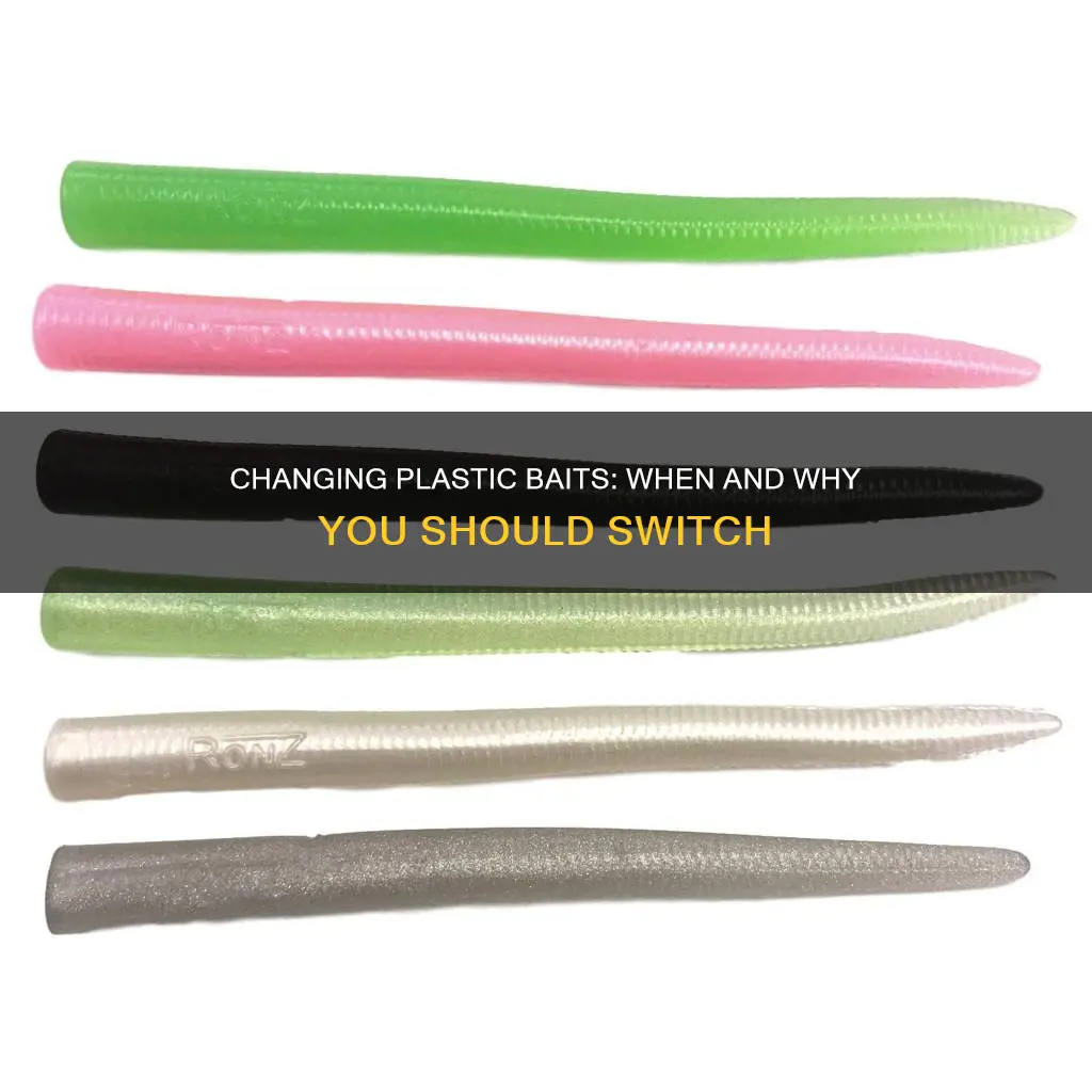 how often to change plastic bait