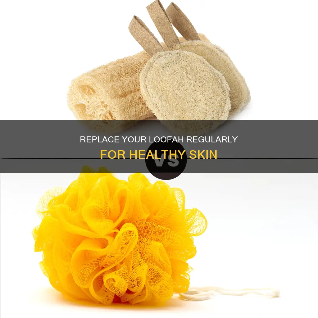 how often to change plastic loofah