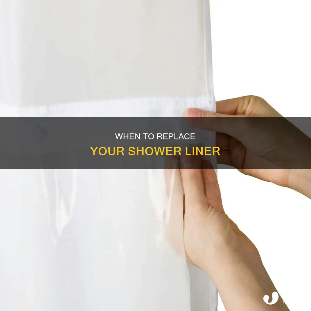 how often to change plastic shower liner