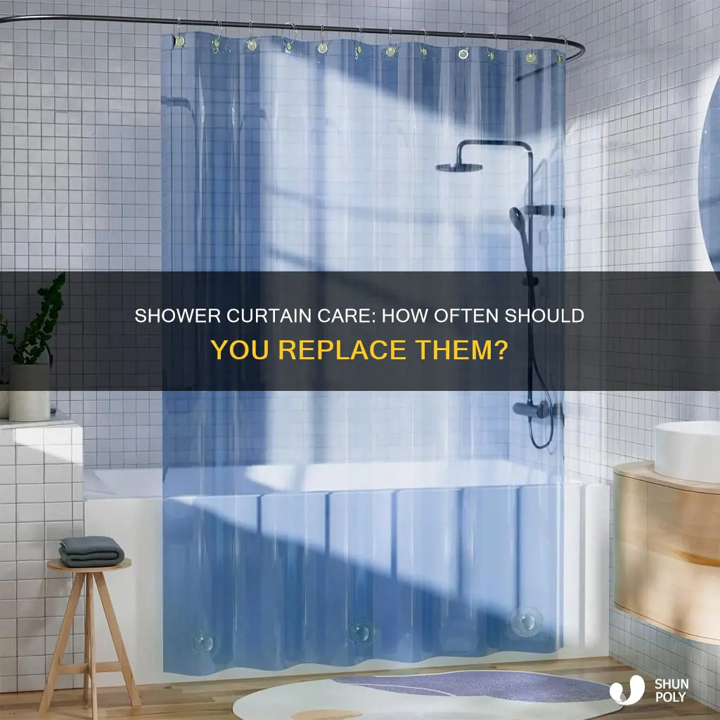 how often to replace plastic shower curtain