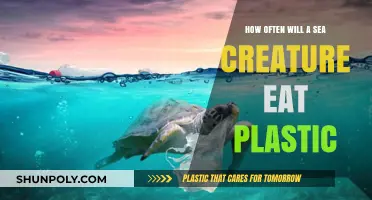 The Alarming Frequency of Plastic Consumption by Sea Creatures