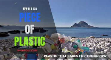 The Lifespan of Plastic: How Old is Too Old?
