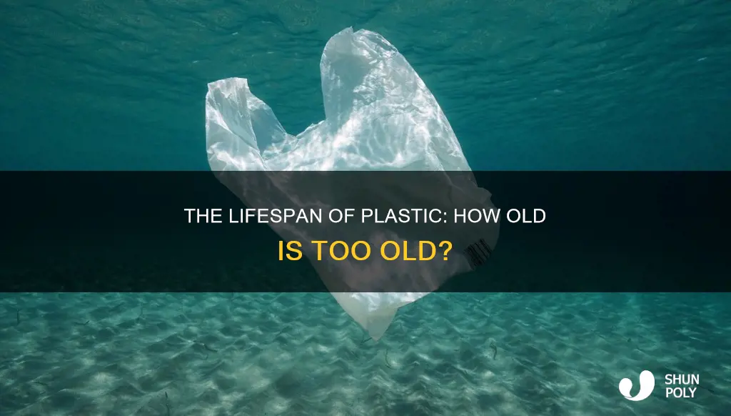 how old is a piece of plastic